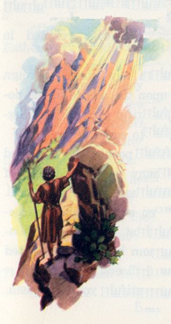shepherd on a narrow path